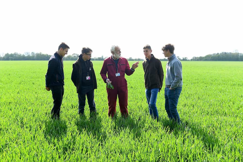 Agriculture learners in a field with tutor looking at crops.