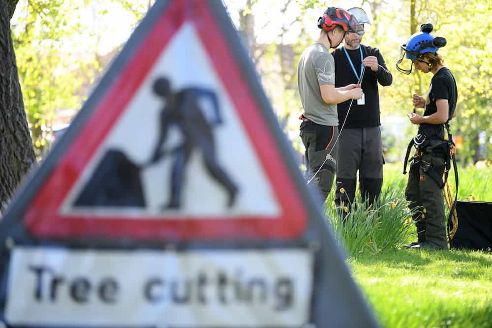 Close up of learners in wooded area with Tree Cutting warning sign.
