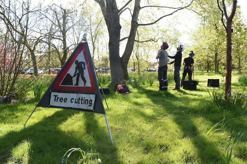 Learners in wooded area with Tree Cutting warning sign.