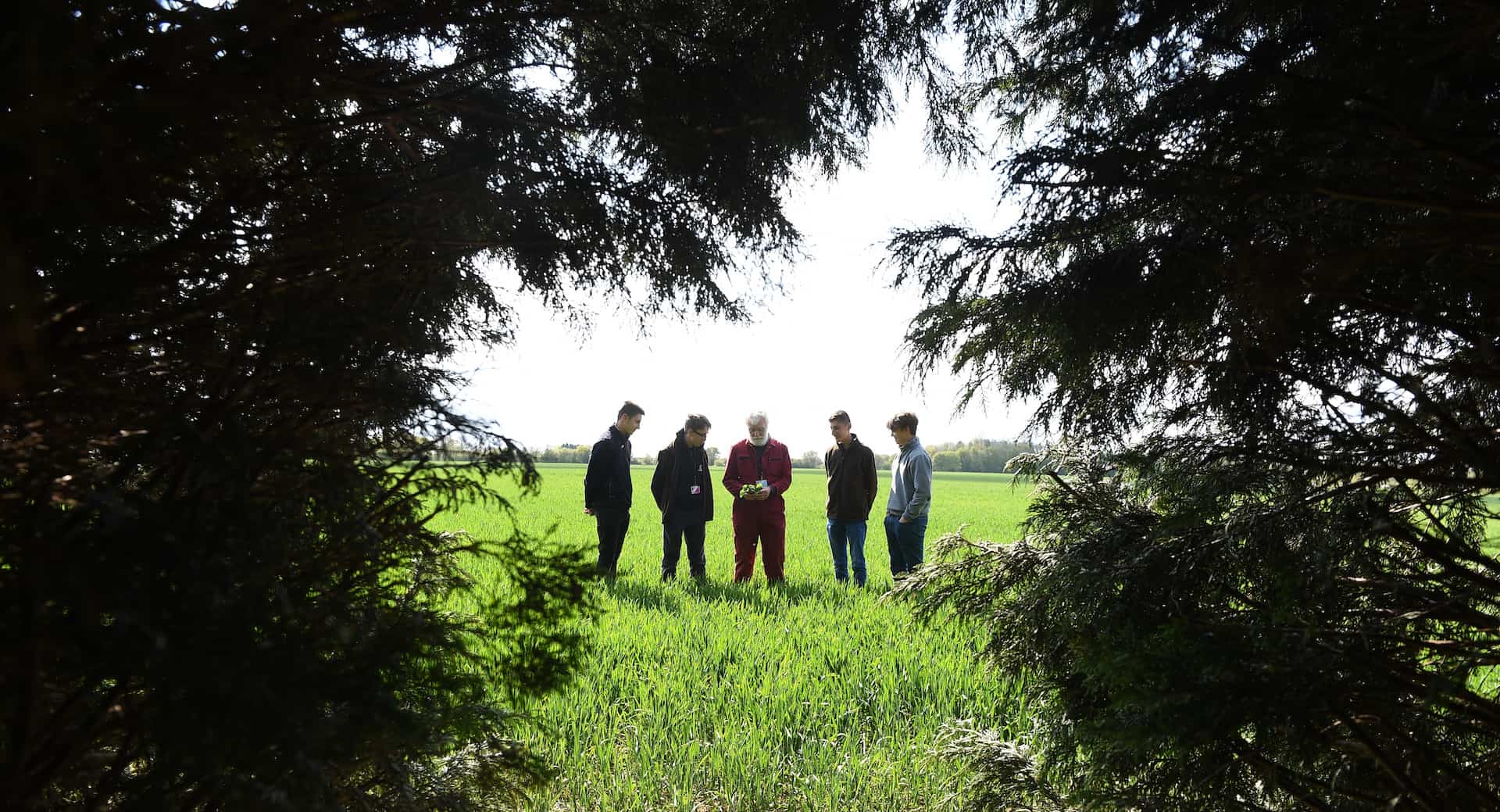 Learners with tutor in a field at Suffolk Rural
