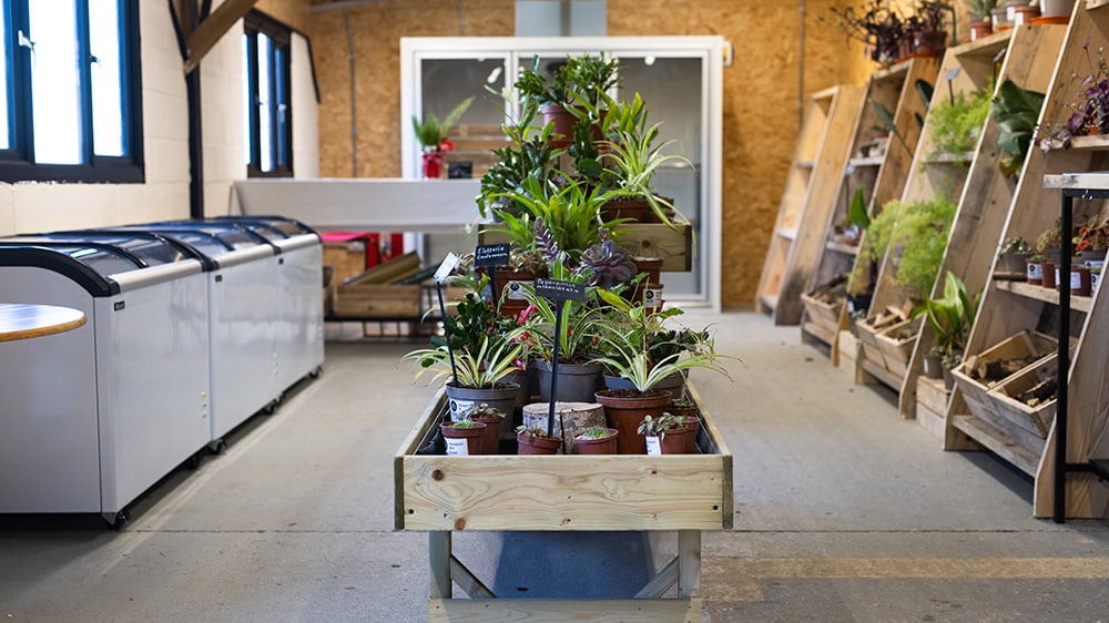 Interior shot of the farm shot showing a selection of freezers to the left, plants in the middle and gifts on the right.