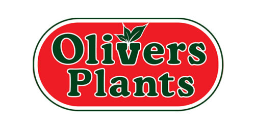 Olivers Plants Logo